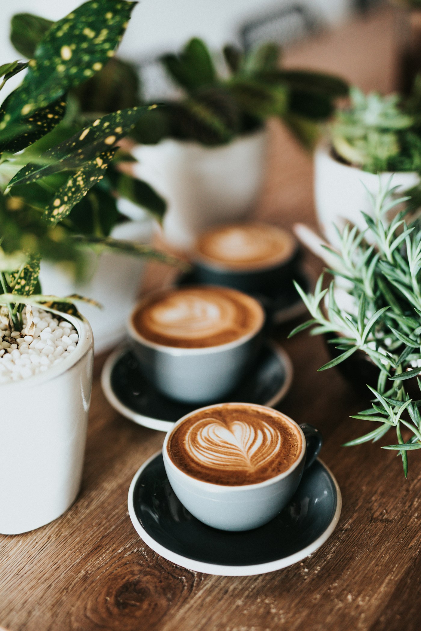 Tasses de café au lait servies sur une table en bois