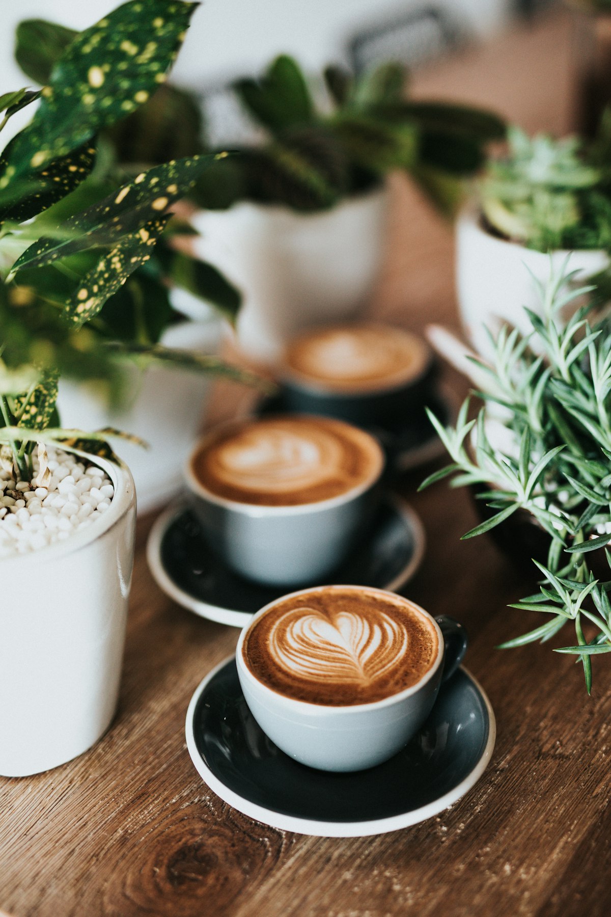 Tasses de café au lait servies sur une table en bois