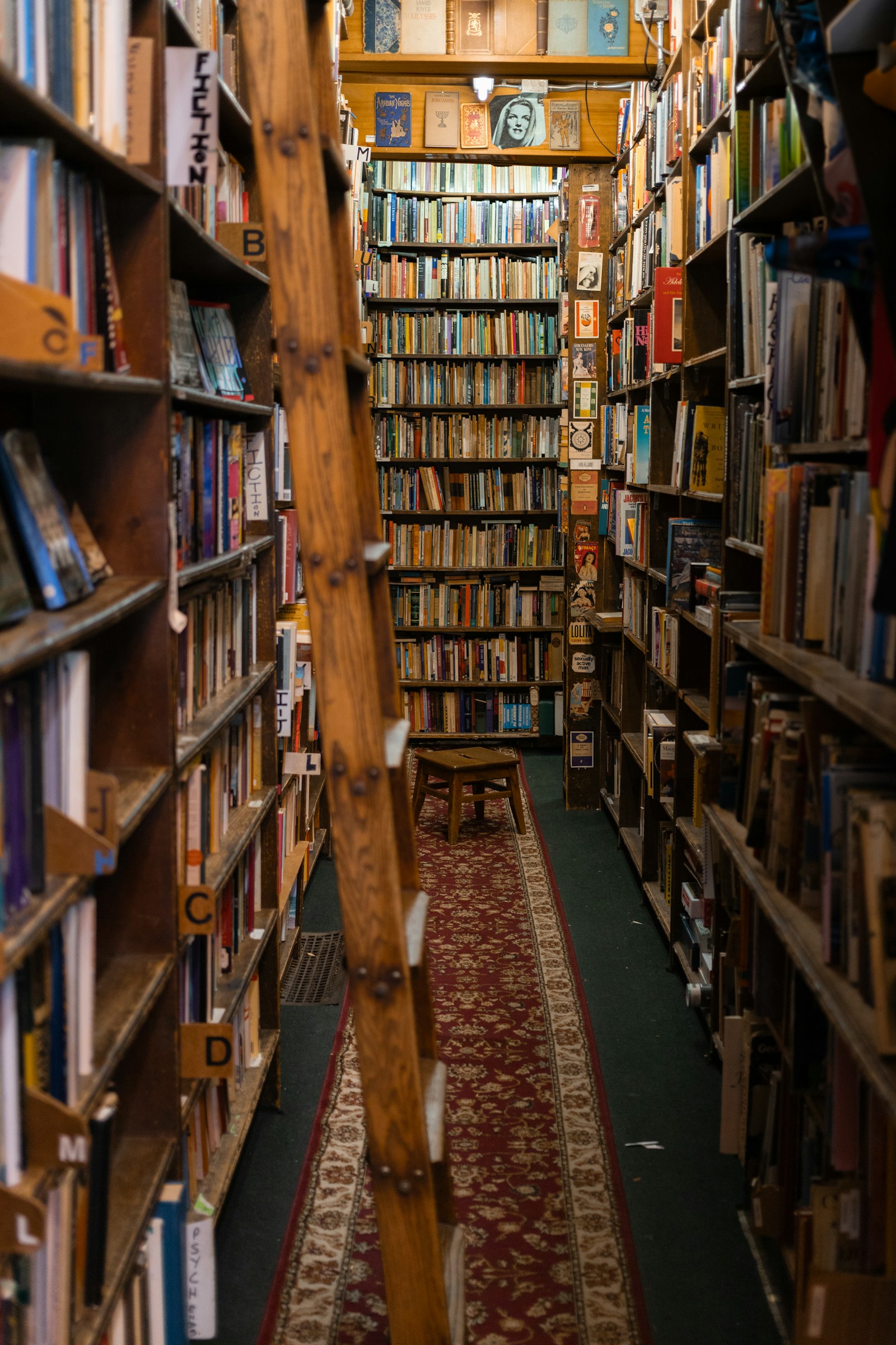 Rayonnages de librairie avec échelle