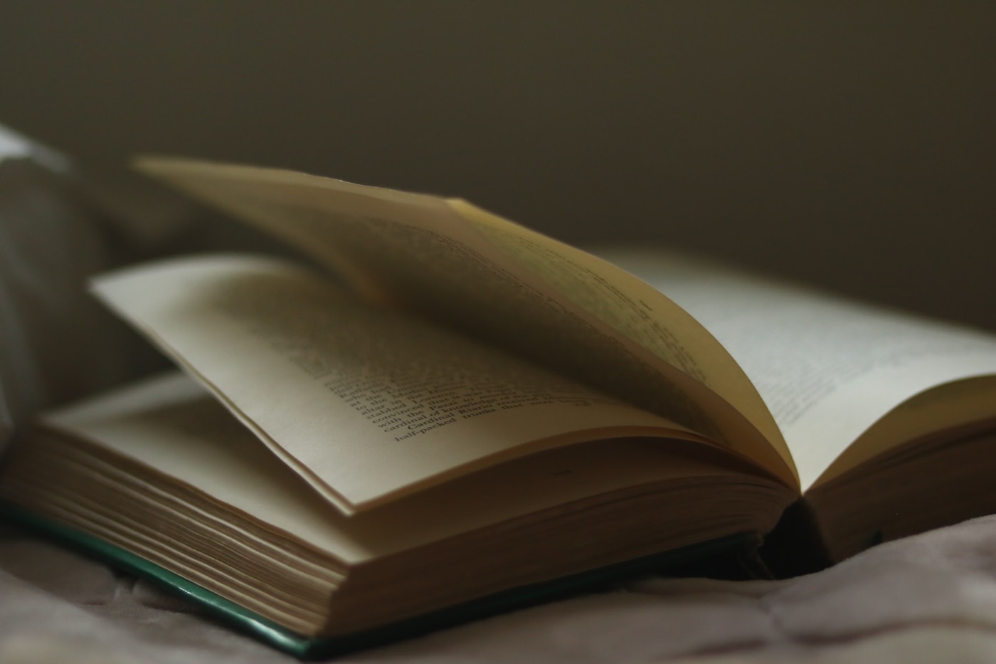 Livre ouvert en gros plan