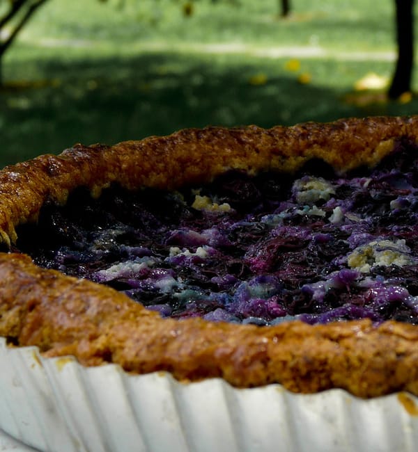 Tarte aux myrtilles