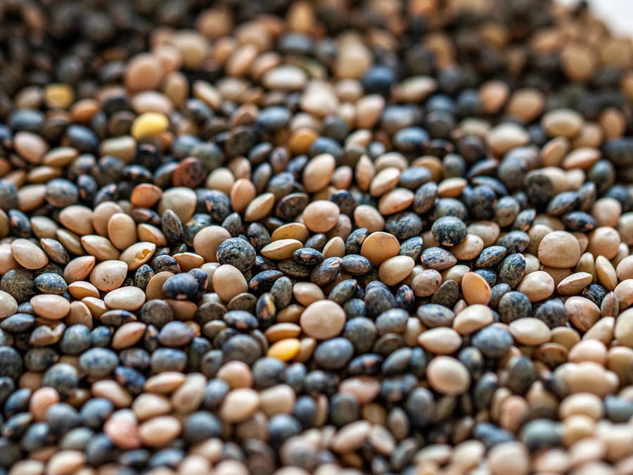 Lentilles sèches en gros plan